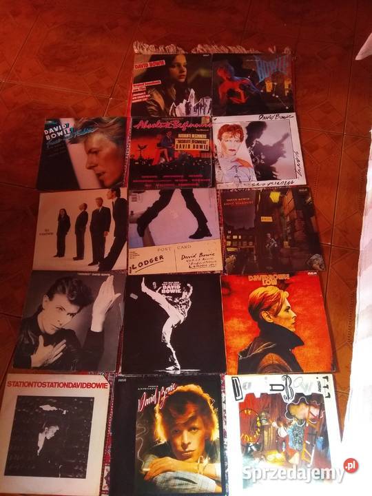 David Bowie x14 Radomsko