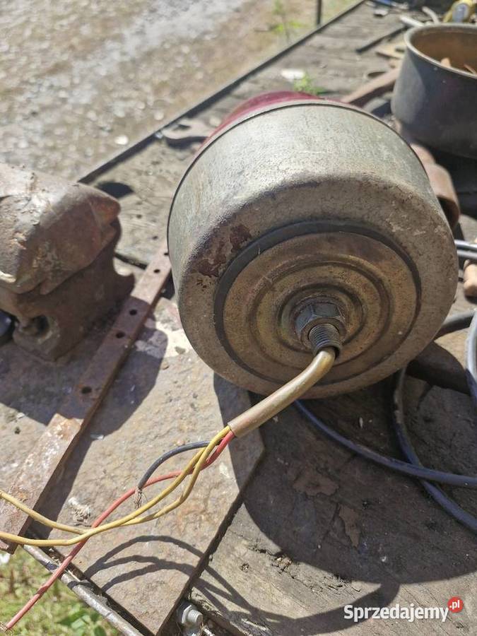 Kogut elektra 12v nie używany zachodniopomorskie Szczecin