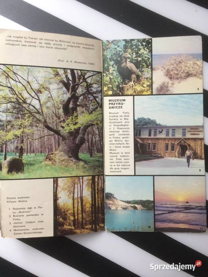 3563 Woliński Park Narodowy Szczecin sprzedam