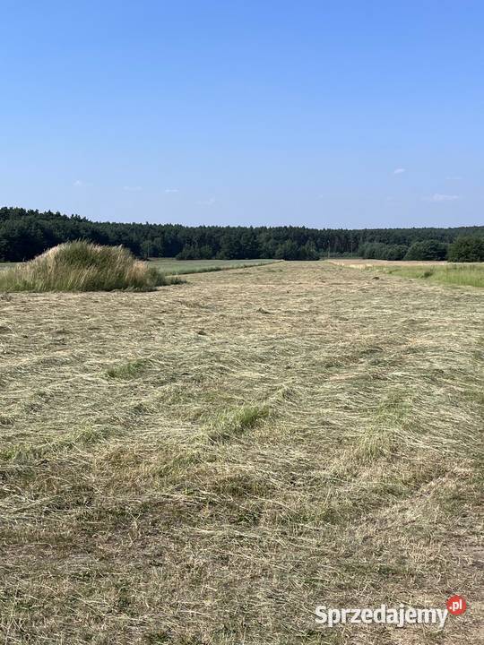 Siano w kostkach Mierzęcice