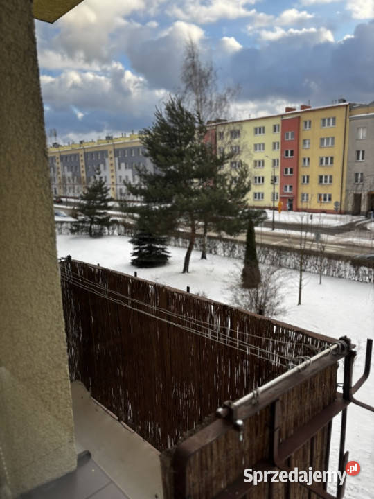 Mieszkanie do wynajęcia Liczba pokoi 3 Skarżysko-Kamienna