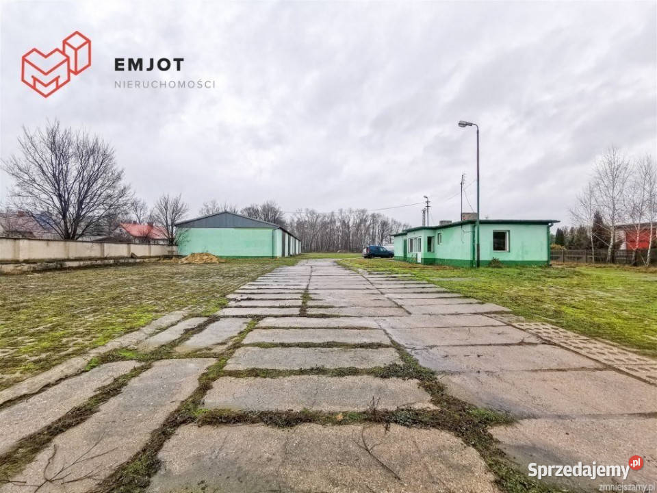 sprzedaży gruntu 11700m2 Cielce kanalizacja