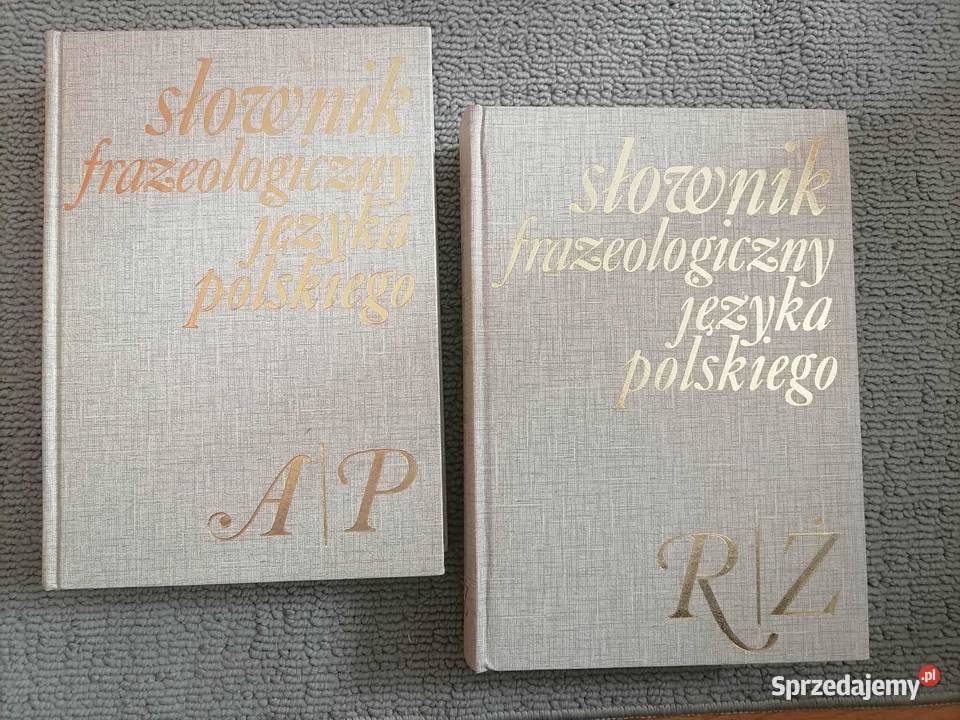 Słownik Języka Polskiego 1985 Pozostałe Wałbrzych