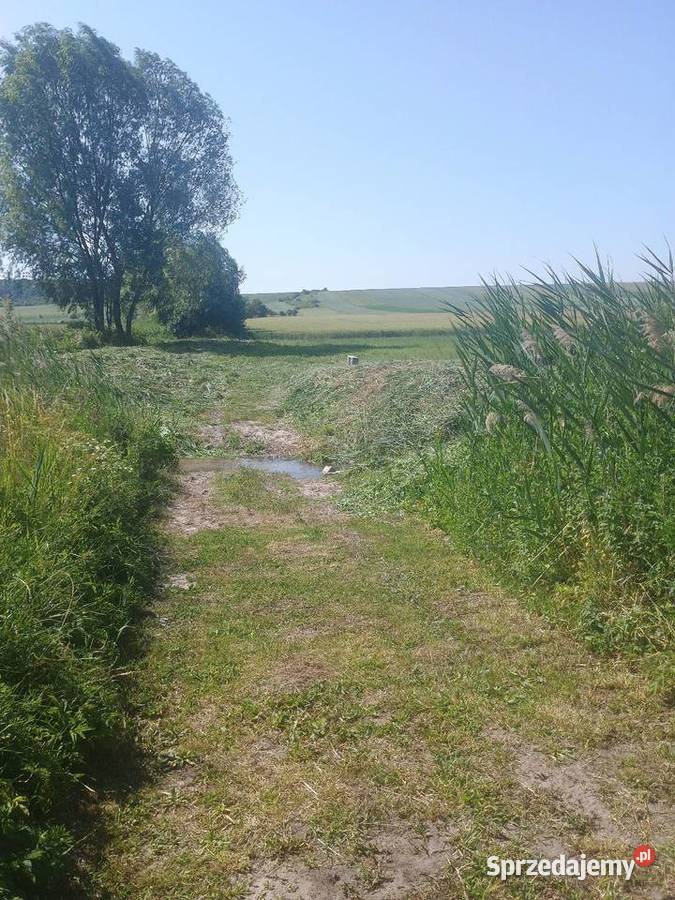 działka rekreacyjna Pińczów