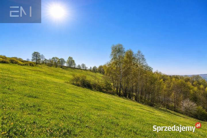 Działka Jaszczurowa 5300 metrów sprzedam