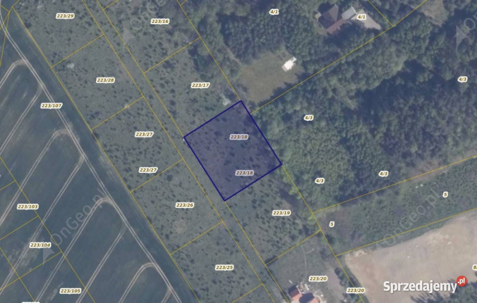Działka 22318 w miejscowości Warcz