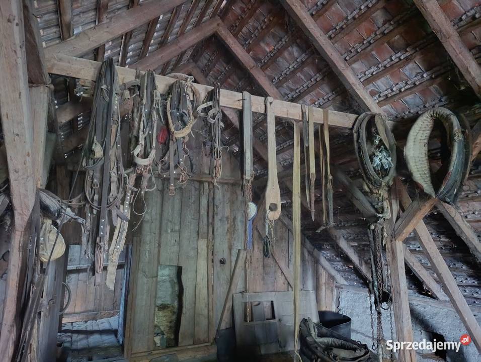 Homonto uprząż opolskie sprzedam