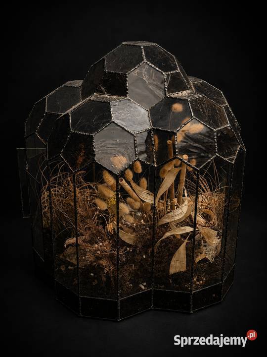 Unikatowe Terrarium w Stylu Tiffanyego Szklana Poddębice