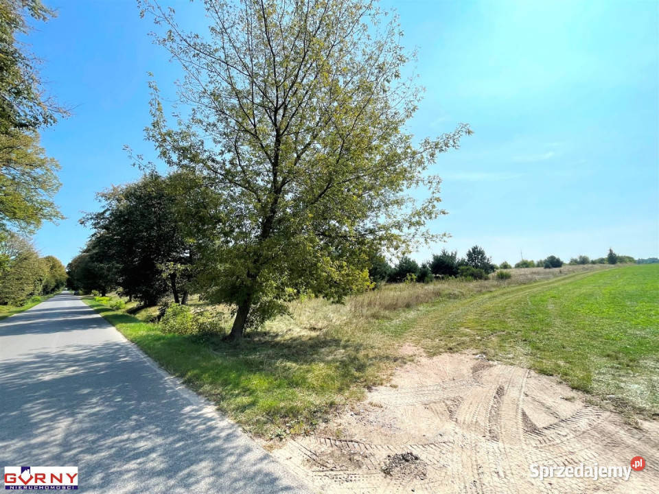 Działka 9871m2 Sulejów Sprzedaż