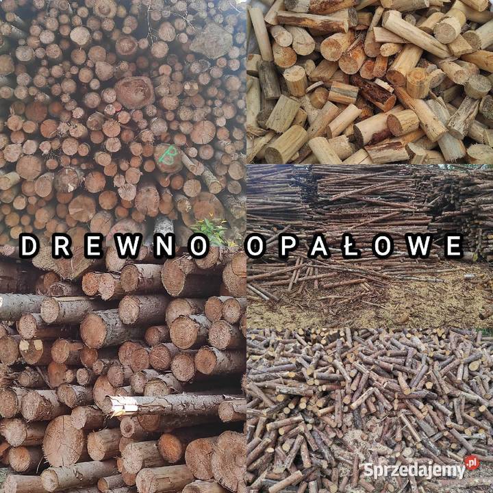 Drewno opałowe Sosna Świerk Dąb Akacja Brzoza Jabłonów