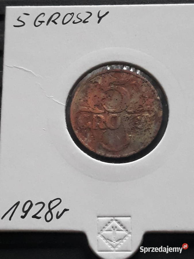 5 groszy 1928 r Numizmatyka wielkopolskie Konin