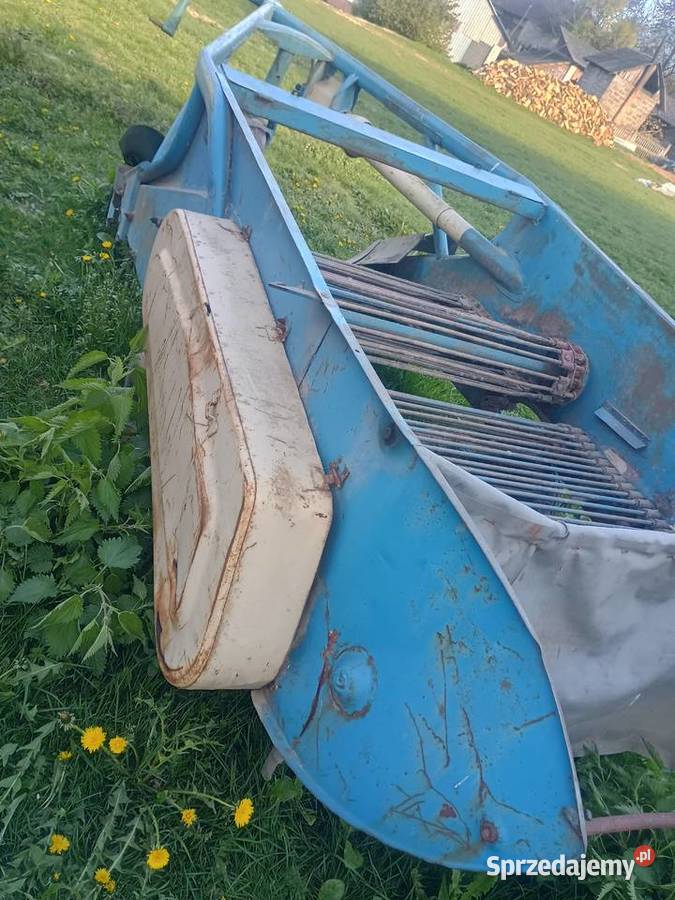 Kopaczka elewatorowa Rolnictwo świętokrzyskie Działoszyce sprzedam