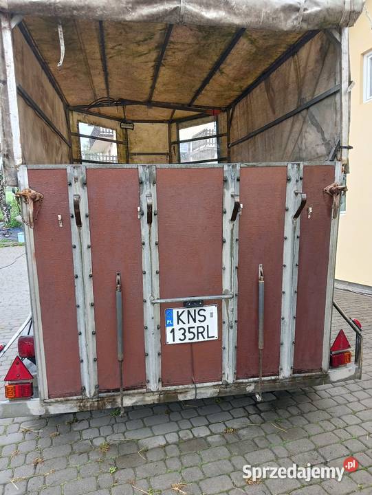 Sprzedam przyczepę do przewozu koni bydła Beyerland Do przewozu koni