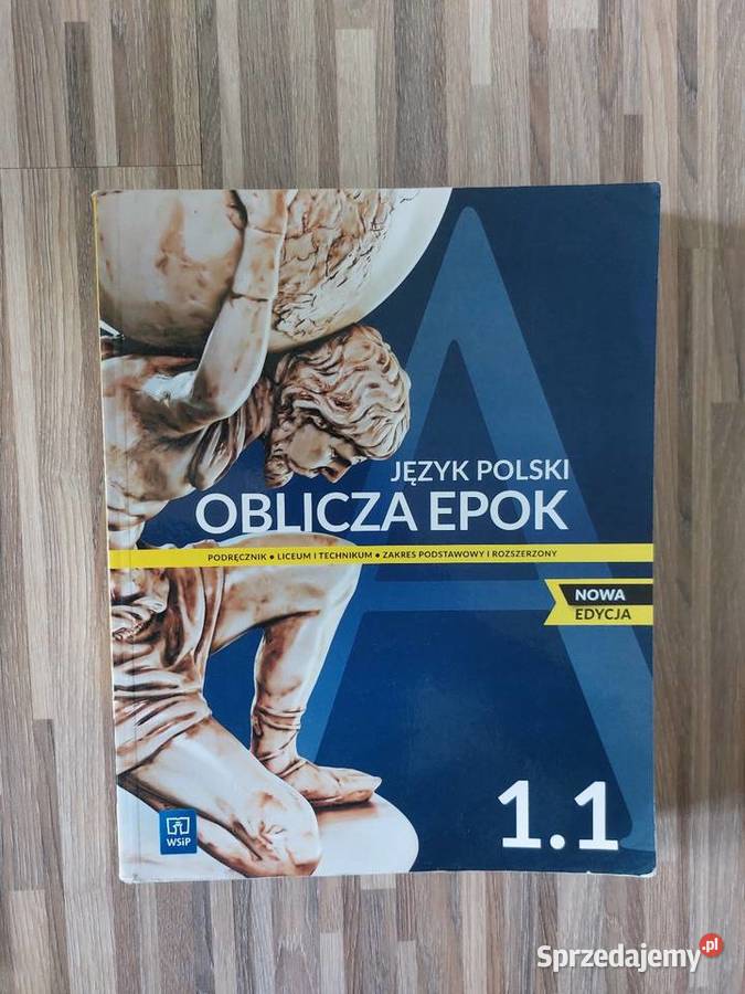 Oblicza epok 11 JĘZYK POLSKI WSiP Podręczniki sprzedam