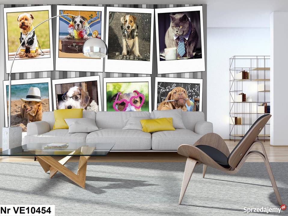 Tapeta fototapeta Pieski i kotki psy i koty wielkopolskie Leszno