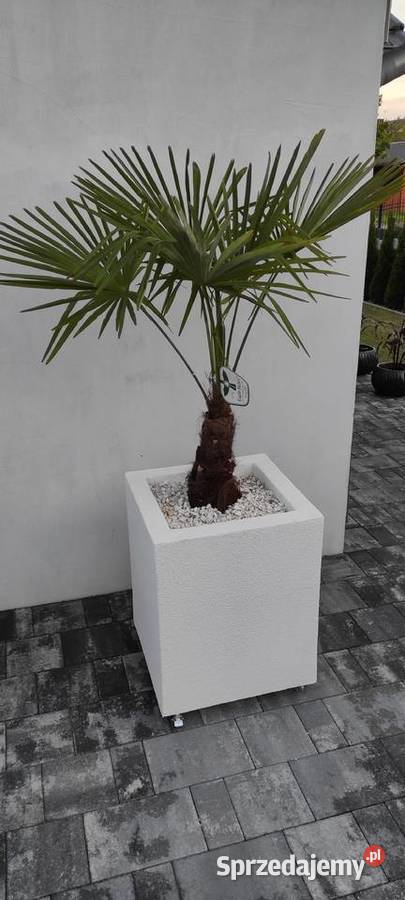 Termo Donice na wymiar Pozostałe opolskie Ozimek