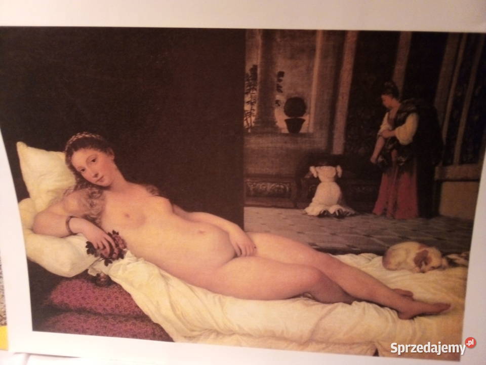 KopiaTitie VENUS 3727 Warszawa sprzedam