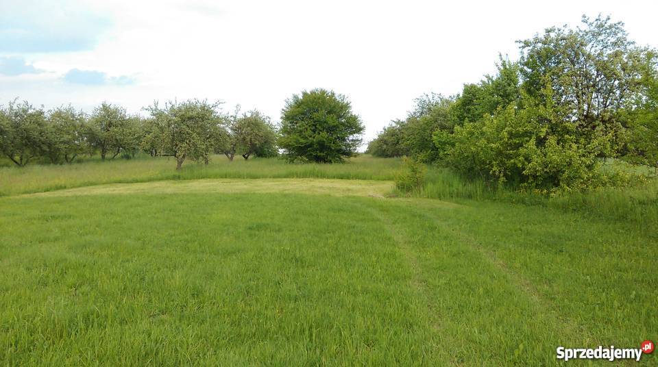 DO SPRZEDANIA GOSPODARSTWO ROLNE 403ha Pliskowola