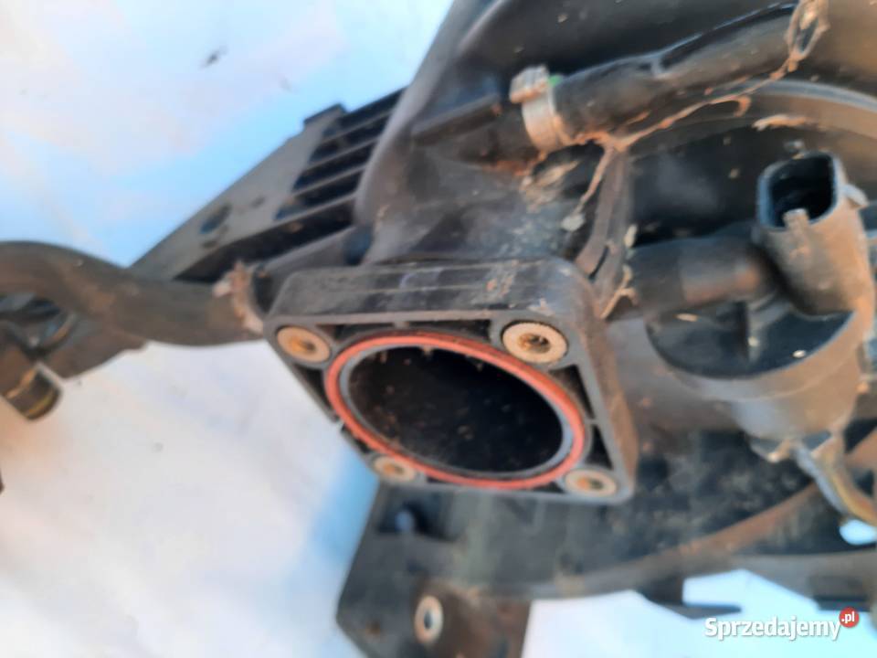 Fiat Grande Punto 14 16V Kolektor ssący Ksawerów sprzedam