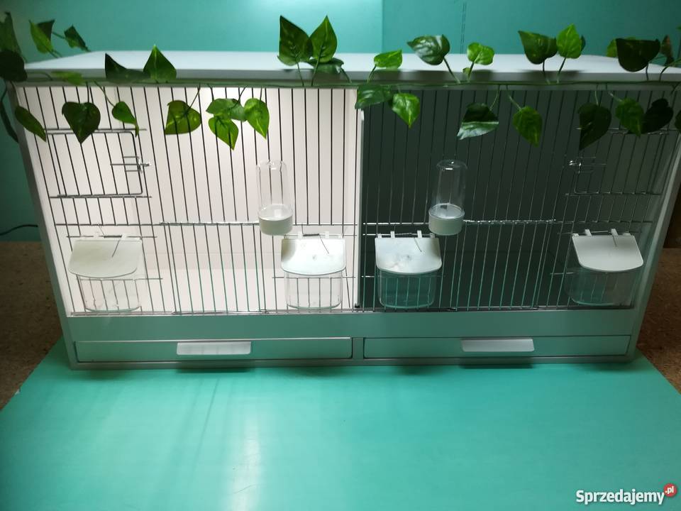 Klatka hodowlana kujawsko-pomorskie Toruń