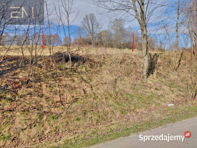 sprzedaży gruntu Wesoła 2500m2 podkarpackie