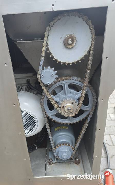 Wilk masarski Dobieszowice