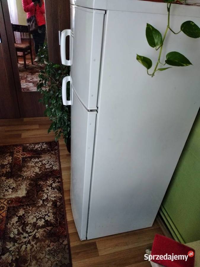 Lodówka Electrolux Lodówki i zamrażarki Krasnystaw