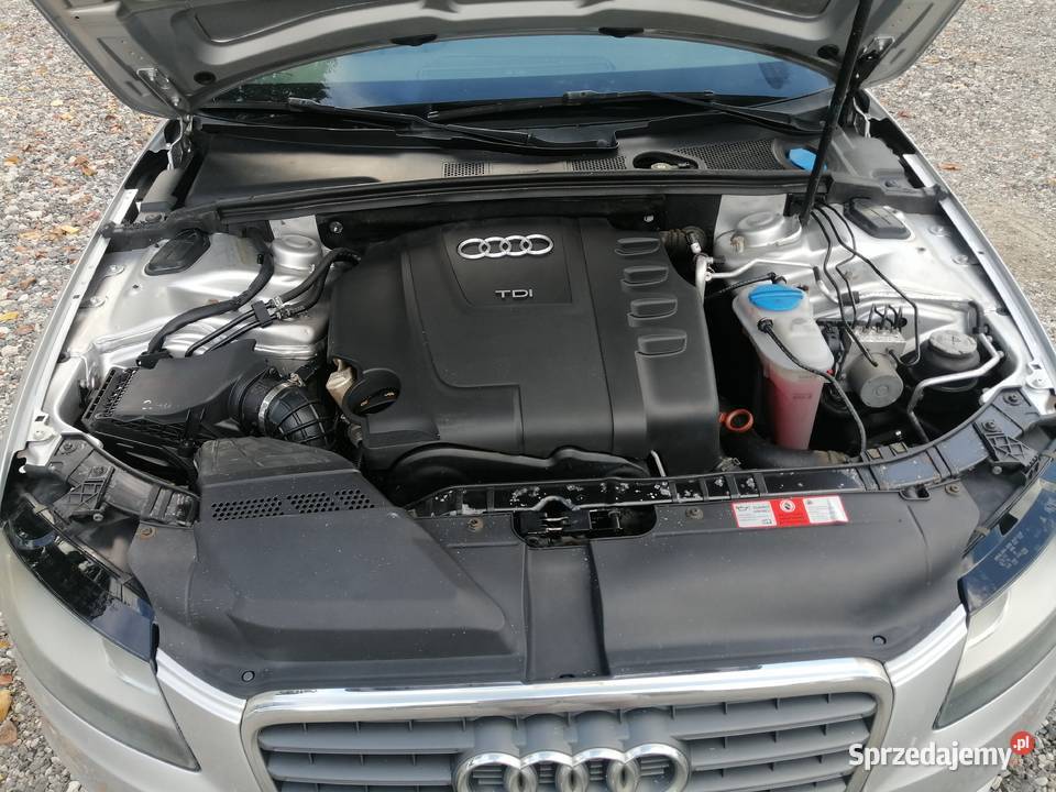 B 8 Skóra Navi Kamera Kombi Terespol