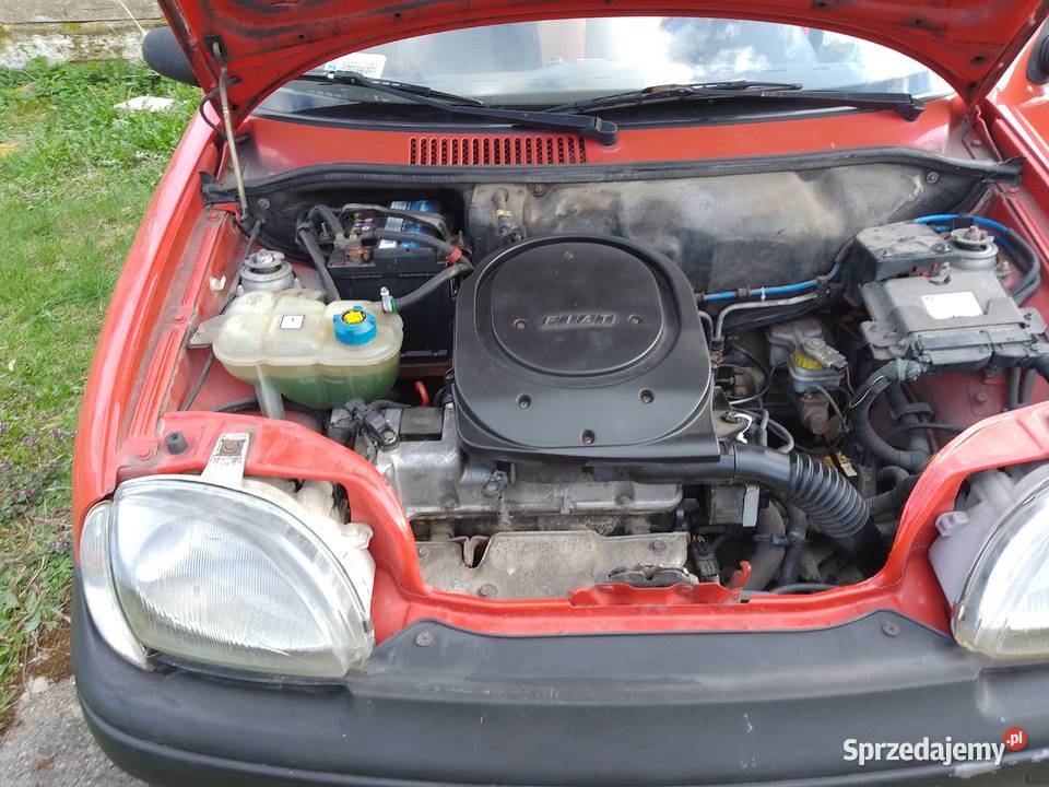 Seicento 11 opłaty aktualne Czarnków