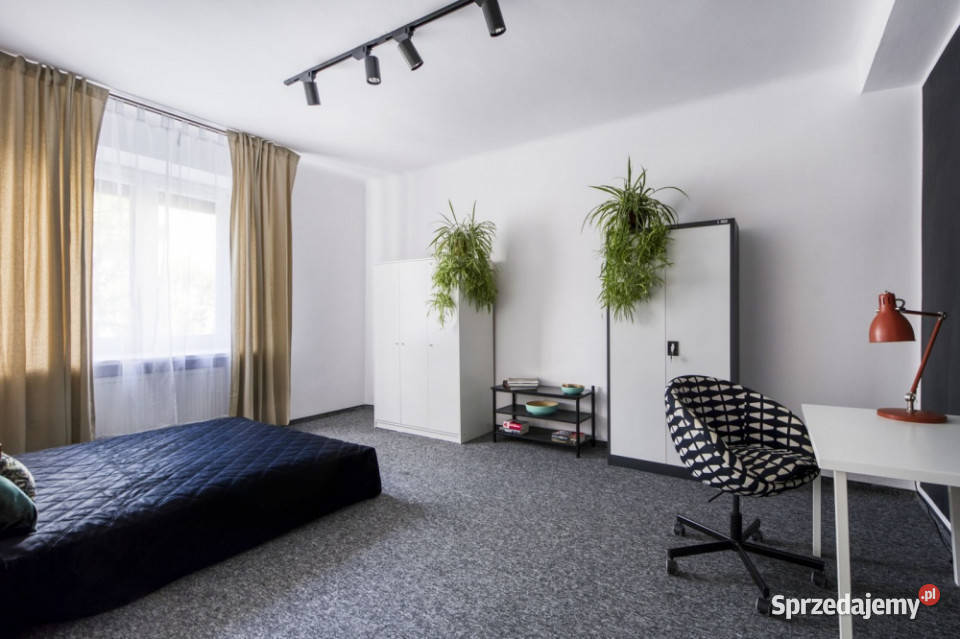 Wynajmę Bezpośrednio Śródmieście 3 pokoje 3 piętra i więcej Warszawa sprzedam