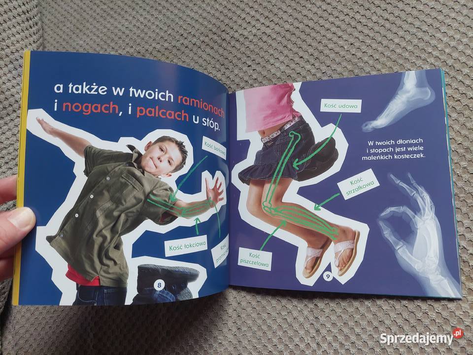 Twoje kości Becky Baines Rok wydania 2010 małopolskie Kraków