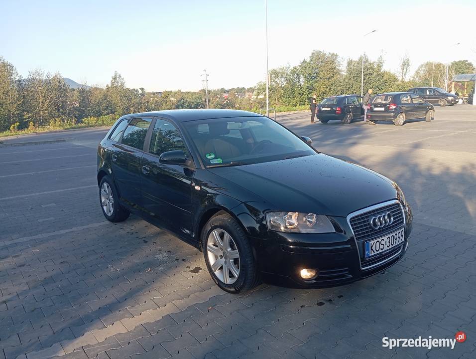 Audi A38P 19 TDI105 2005 r 197 5 DrzwiSuper stan Bulowice