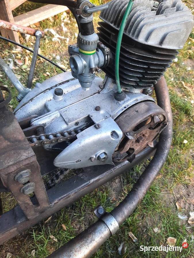 Trajka Dzik Trójkołowiec wielkopolskie Mikstat