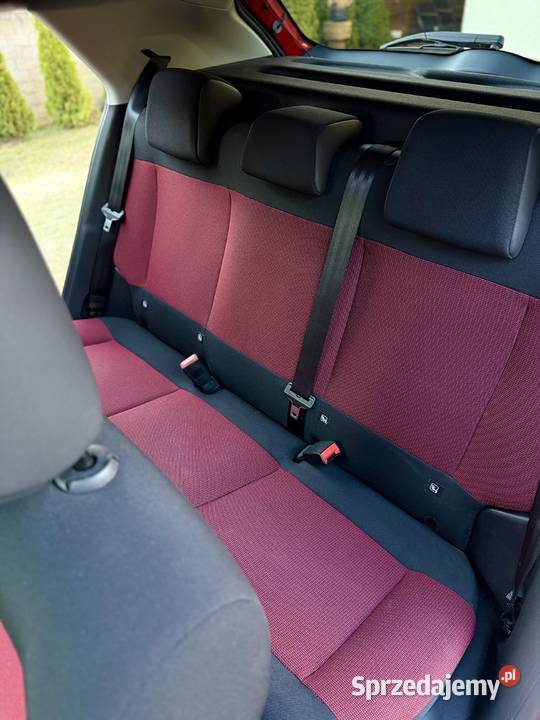 Citroen C4 Cactus Polski Salon Bezwypadkowy małopolskie Międzygórze