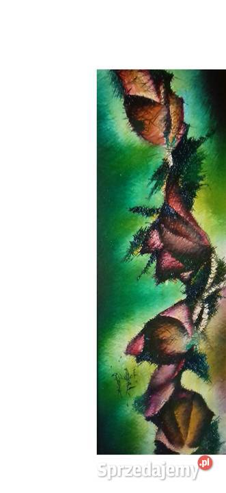 Wianeczek Różyczek Jarosław