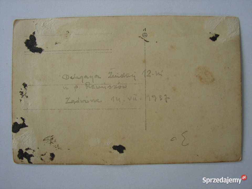 Zadwórze Harcerze u państwa Remiszów w 1937 r Warszawa sprzedam