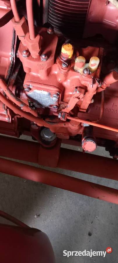 Wladymirec t25 oryginał igielka Jangrot