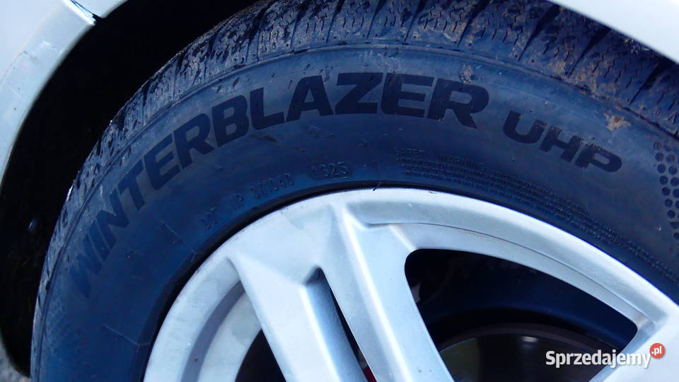 Audi A4 Avant 20 TDI 2007 łódzkie Drzewica