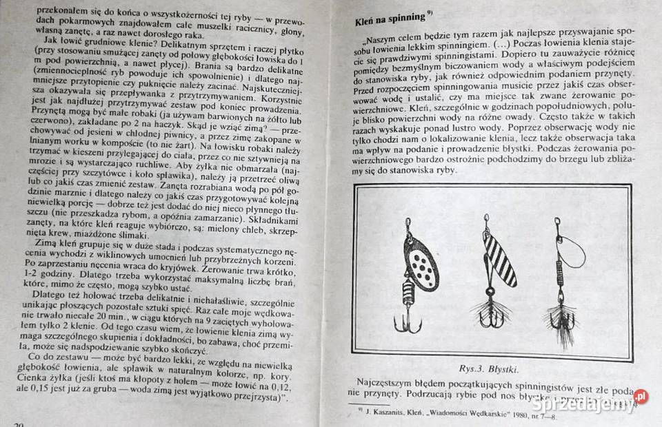 Kleń Stefan Strogulski Chełm