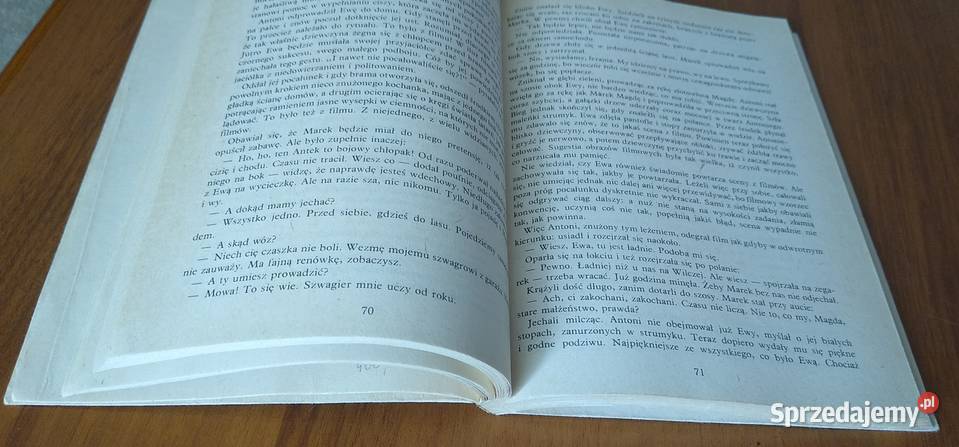 Niobe Barbara Gordon wyd 3 1988 Rok wydania 1988 pomorskie Gdańsk sprzedam