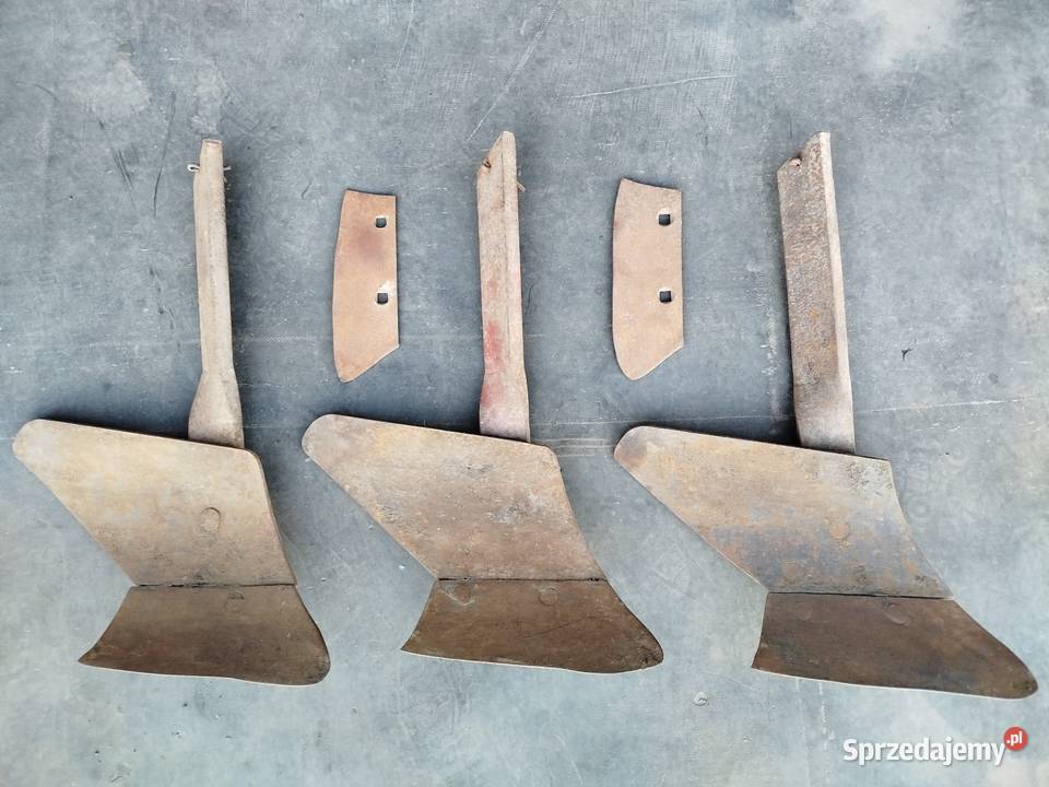 Przedpłużki pługa zagonowego Polskiego Strzelno