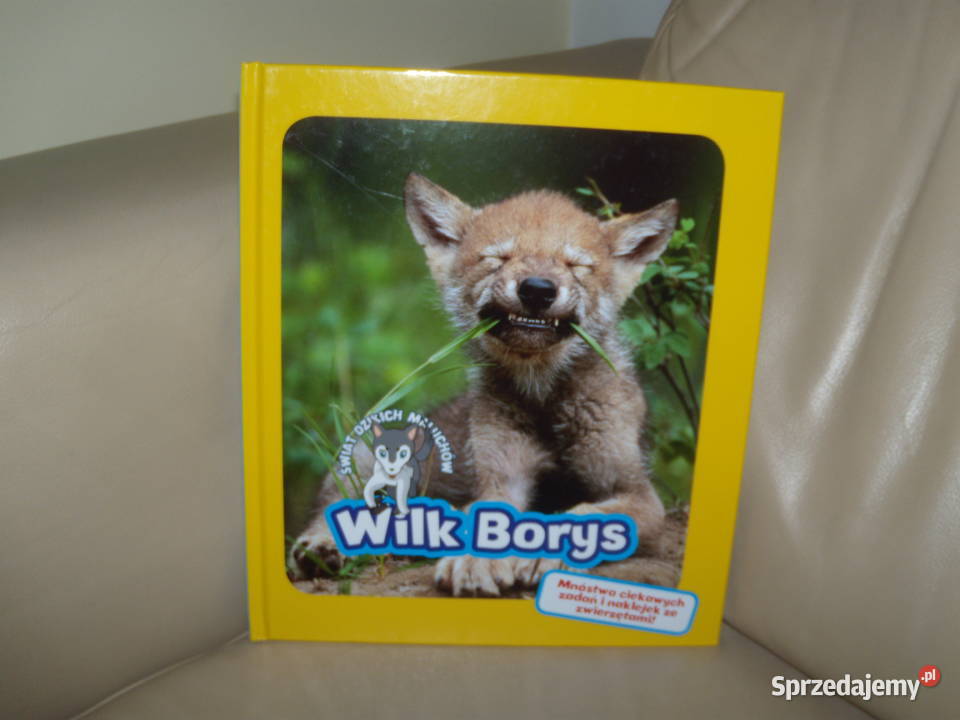 Wilk Borys Świat dzikich maluchów Kultura i Rozrywka Warszawa