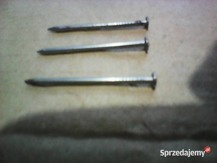 GWOŹDZIE Stalowe 35 x 18 40 x 2 PRL Rogoźnik sprzedam