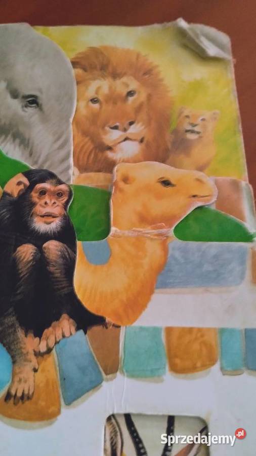 małpka i inne zwierzęta w zoo Kultura i Rozrywka wielkopolskie Poznań