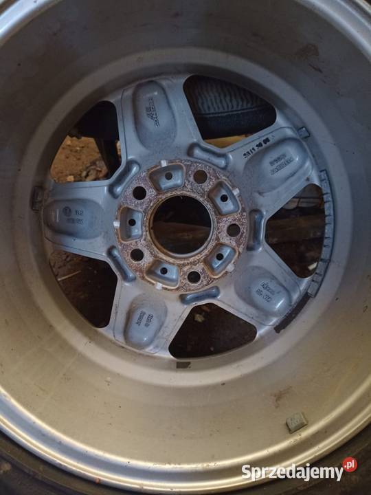 Org AC schnitzer type 2 16 Września sprzedam