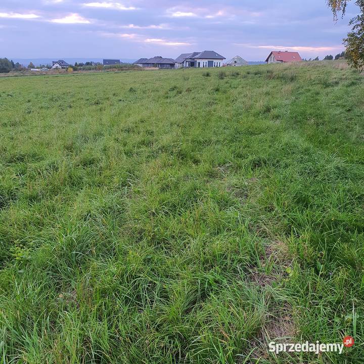 Działka inwestycyjna w Boguszynie k Kłodzko 1010 Boguszyn
