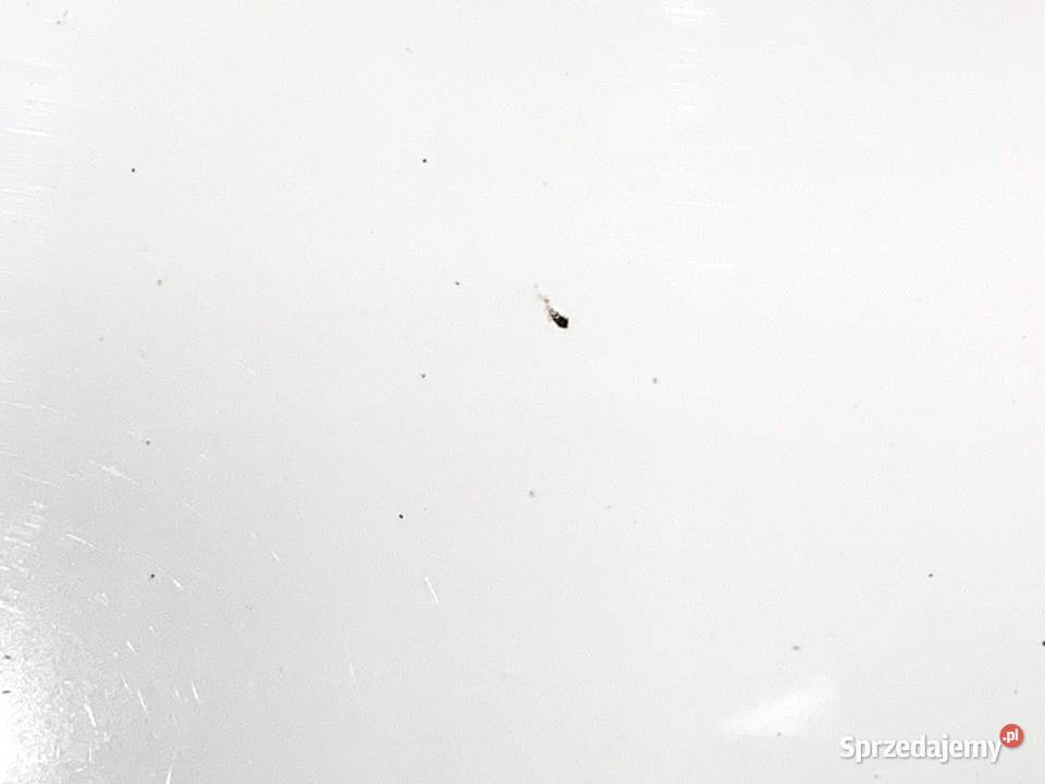 LUSTERKO PRAWY VW GOLF VII Kombi Pure White LC9A