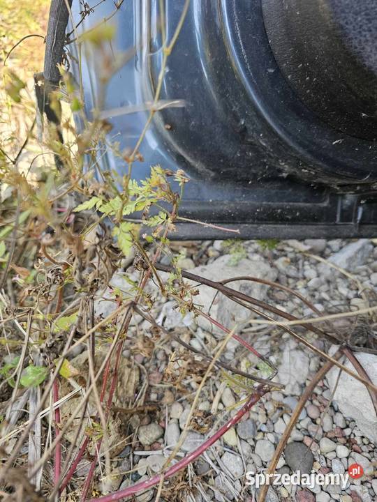 Drzwi Volkswagen Bora Łagów sprzedam