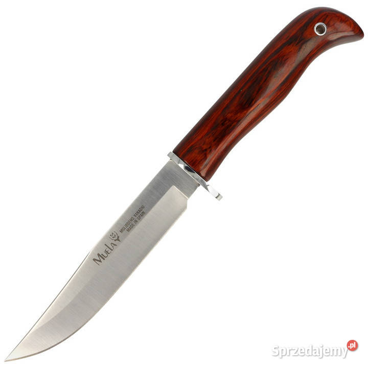 Nóż Muela Gredos Coral Wood Satin X50CrMoV15 Sport i Wypoczynek