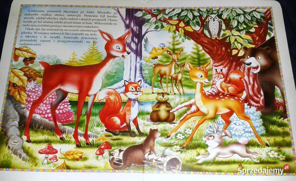 Podróże pingwinów Bambi Leśna wróżka lubelskie Chełm